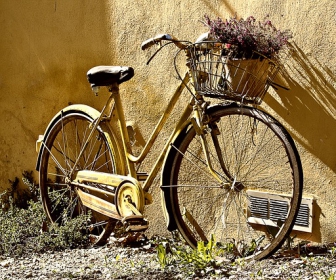 darmowy sennik Sen o rowerze